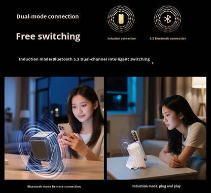 Multifunctional Wireless Speaker