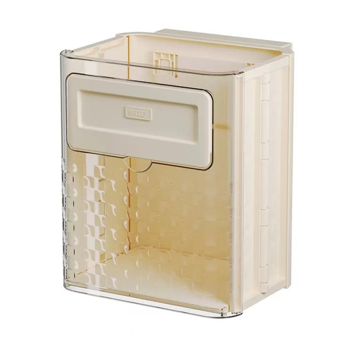 Wall-mounted Trash Can